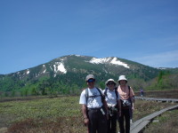 ���������ł���B